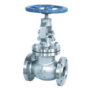 GLOBE VALVES
