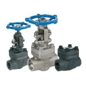 FORGE STEEL VALVES